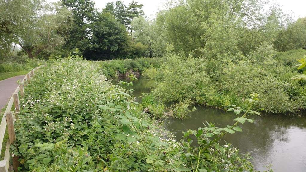 Bittern information point and hide | Seventy Acres Lake Waltham Abbey, Waltham Abbey, Waltham Cross EN8 9SA, UK | Phone: 0300 003 0610