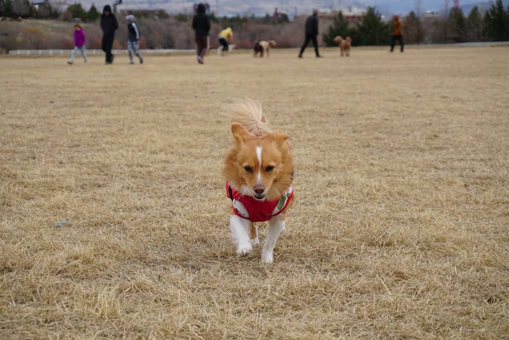 Off Leash Dog Park | 2398 Coleman Dr, Reno, NV 89503, USA | Phone: (775) 328-2000