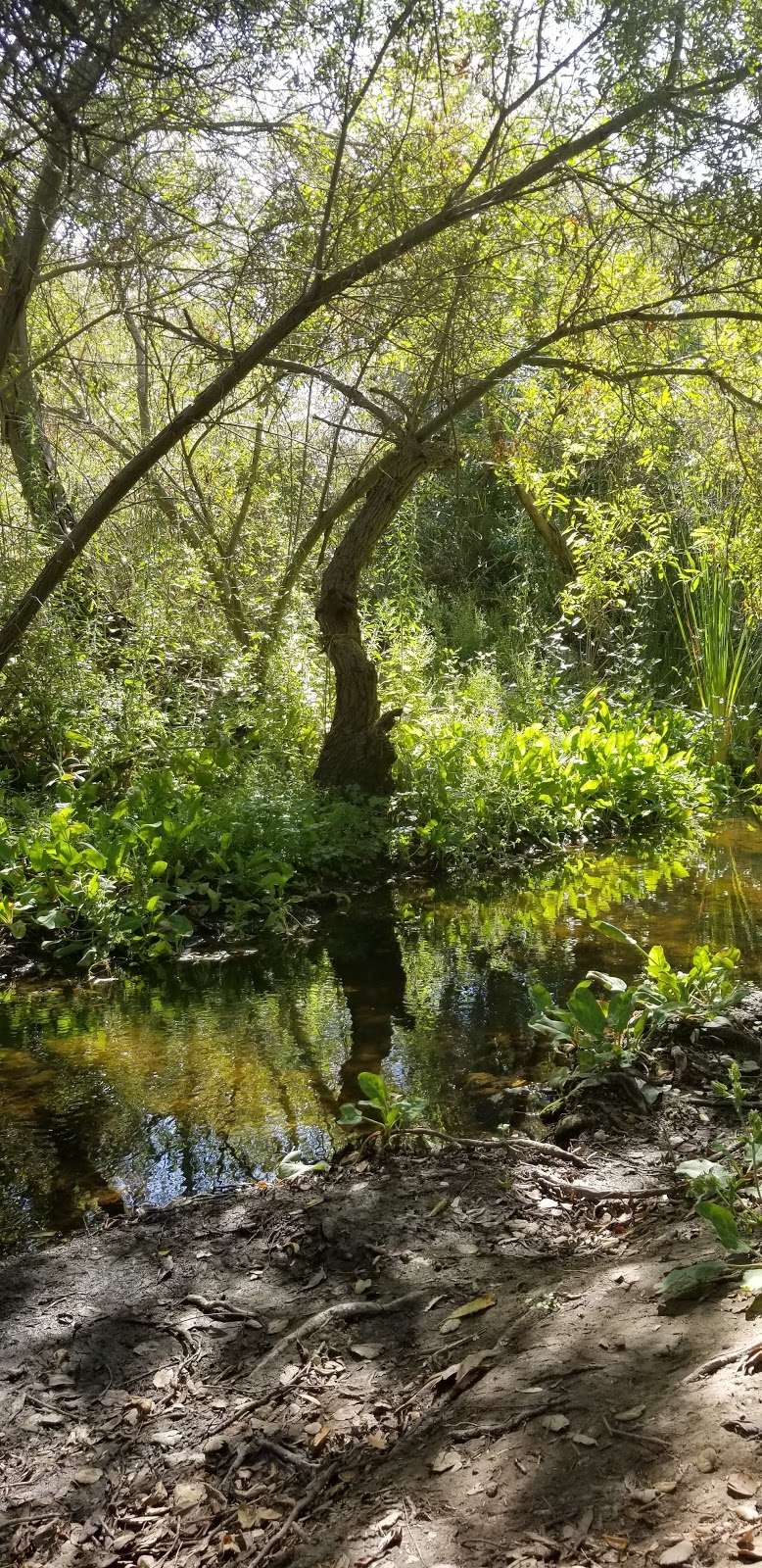 Cactus Trail | Los Penasquitos Canyon Trail, San Diego, CA 92129