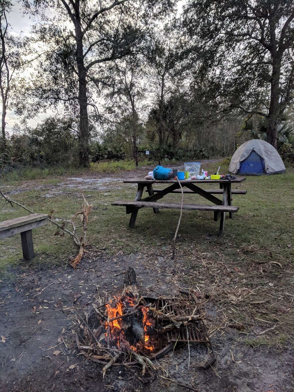 Camp Cozy | Apopka, FL 32712, USA