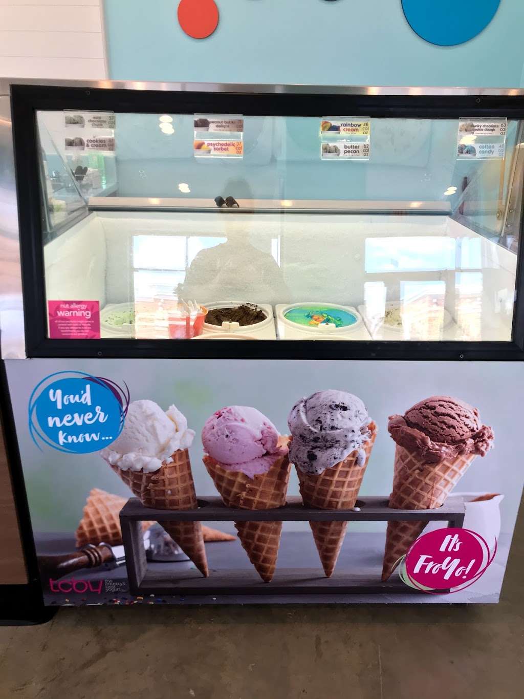 TCBY Rea Farms | 9804 Sandy Rock Pl Unit E, Charlotte, NC 28277, USA | Phone: (704) 246-7180