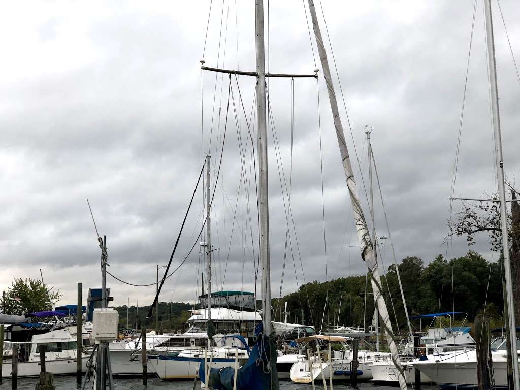 Belle Haven Park, Virginia | Alexandria, VA 22307, USA