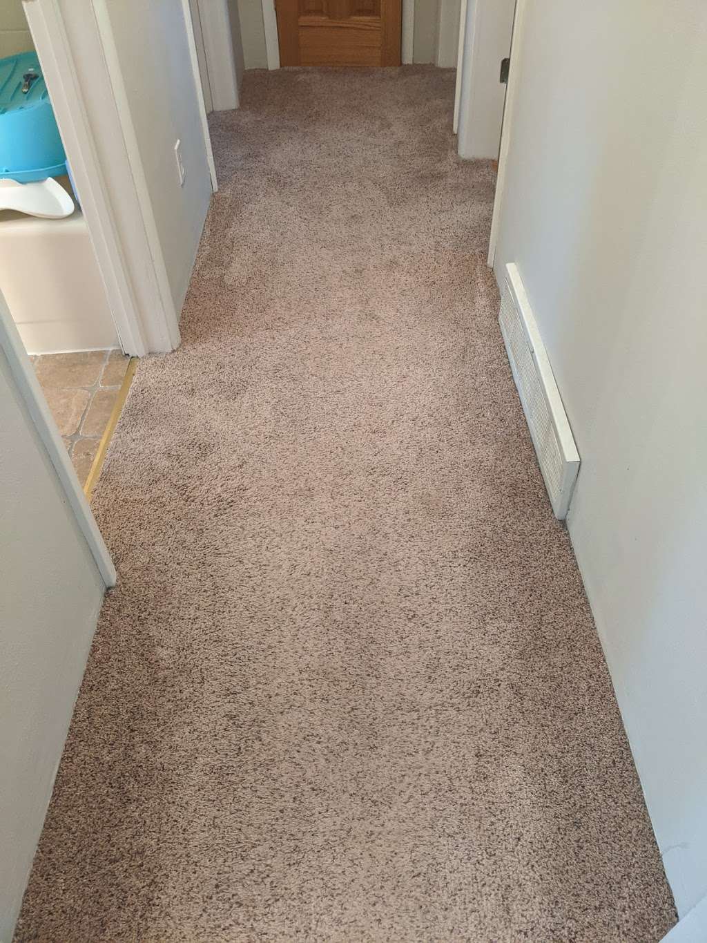 Able Carpet Cleaners | 346 Forest Grove Dr, Pewaukee, WI 53072, USA | Phone: (262) 391-5936