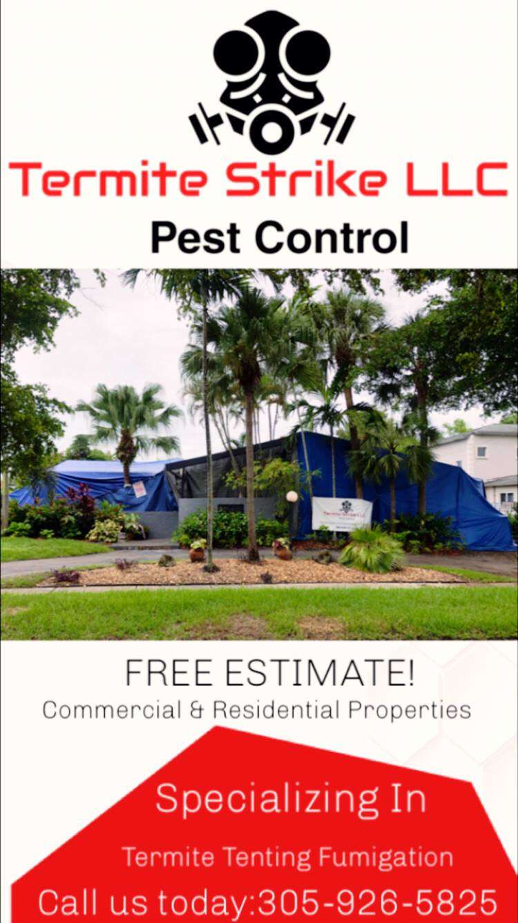 Termite Strike LLC | 2716 NW 56th St, Miami, FL 33142, USA | Phone: (305) 926-5825