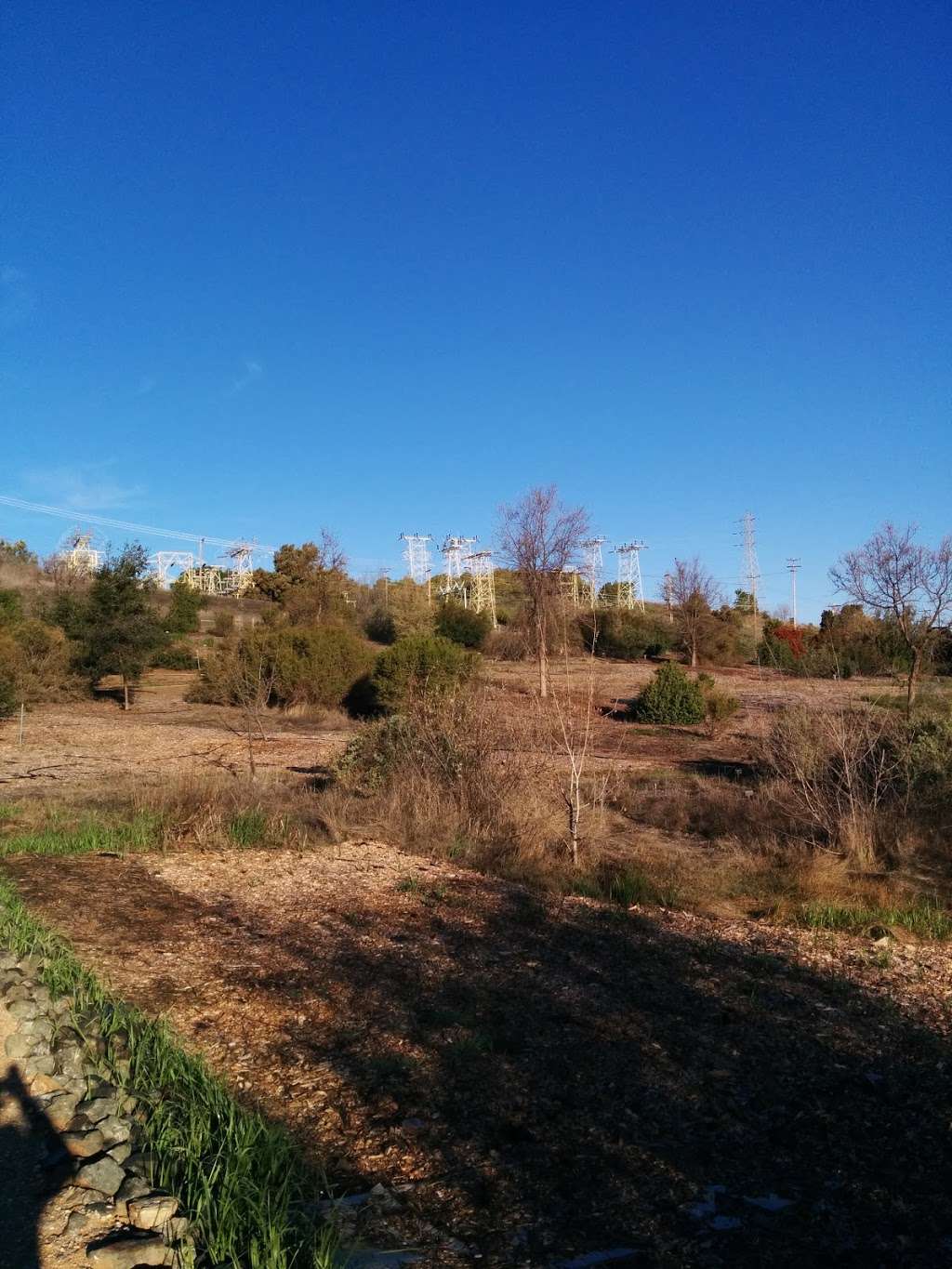 Forrest Deaner Native Plant Botanic Garden | Dillon Point Rd, Benicia, CA 94510