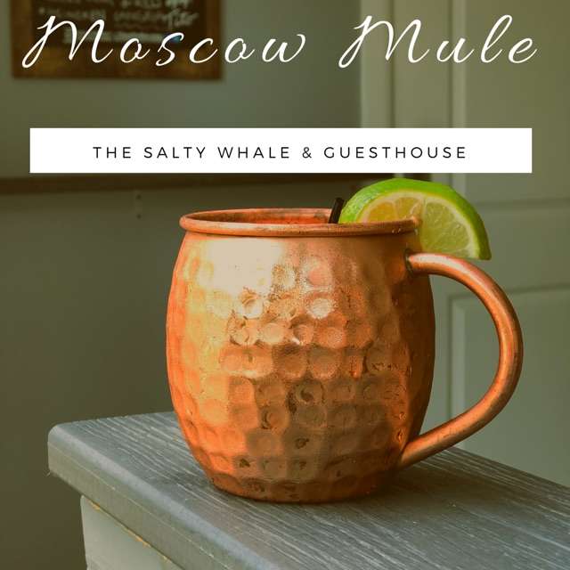 The Salty Whale and Guesthouse | 390 E Main St, Manasquan, NJ 08736, USA | Phone: (732) 592-3344