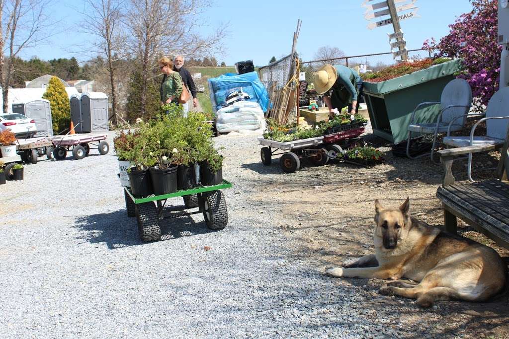 Groffs Plant Farm | 6128 Street Rd, Kirkwood, PA 17536 | Phone: (717) 529-3001