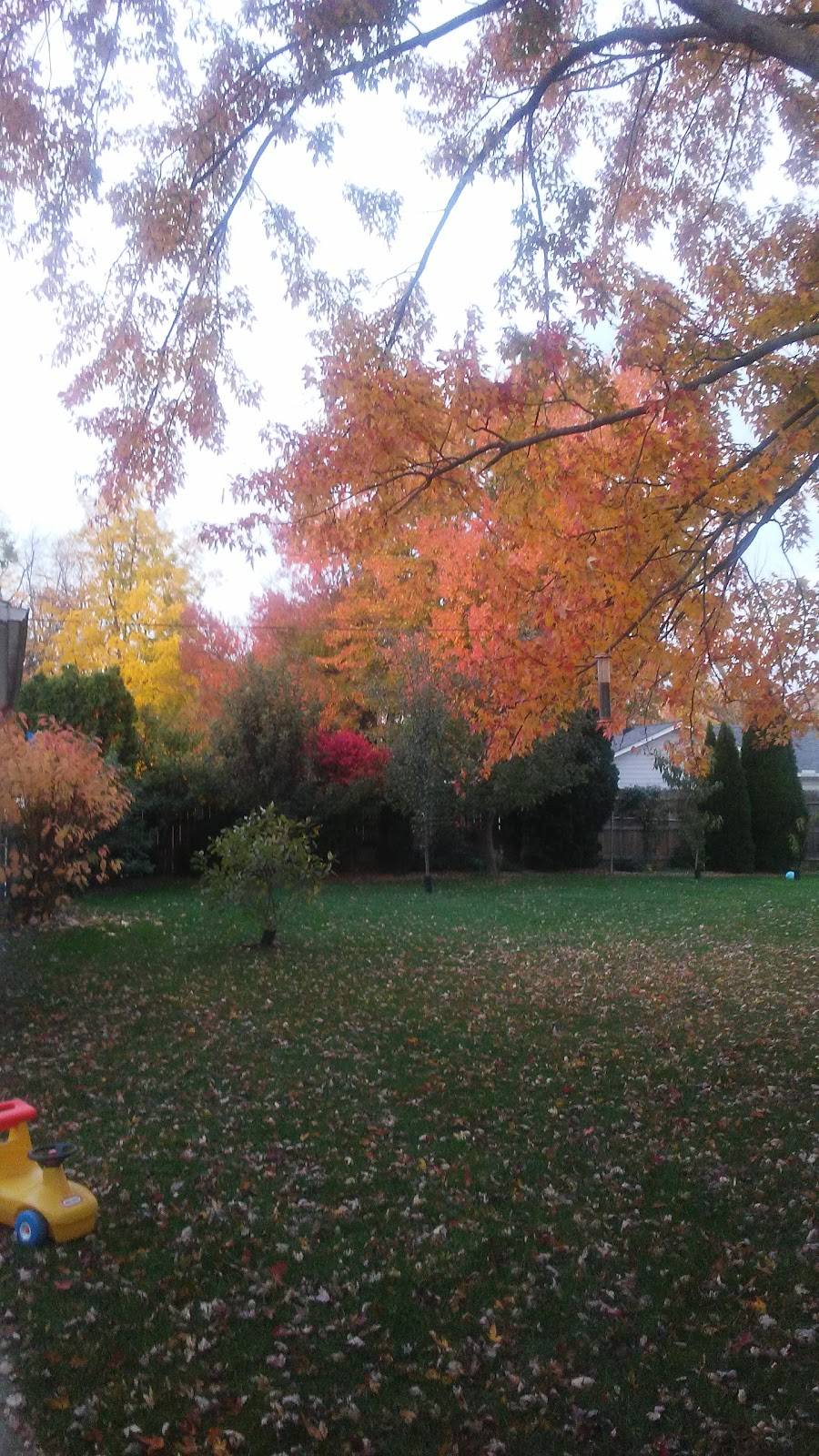 Elzey-Patterson-Rodak Funeral Home | 120 W Mill St, Ossian, IN 46777, USA | Phone: (260) 622-4114