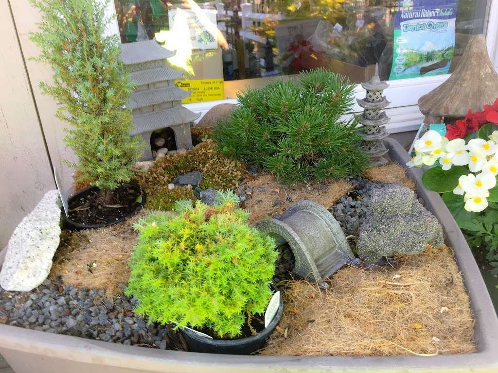 Wymans Garden Center | 1025, 141 Spring St, Hanson, MA 02341, USA | Phone: (781) 447-5400