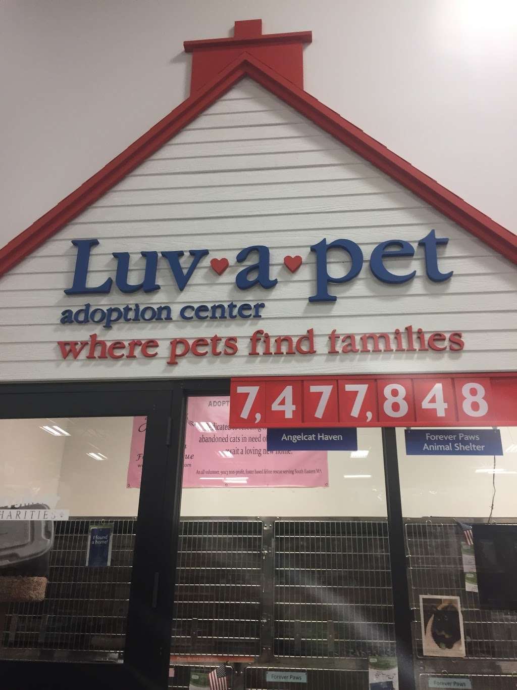 PetSmart | 1385 S Washington St, North Attleborough, MA 02760, USA | Phone: (508) 695-2300