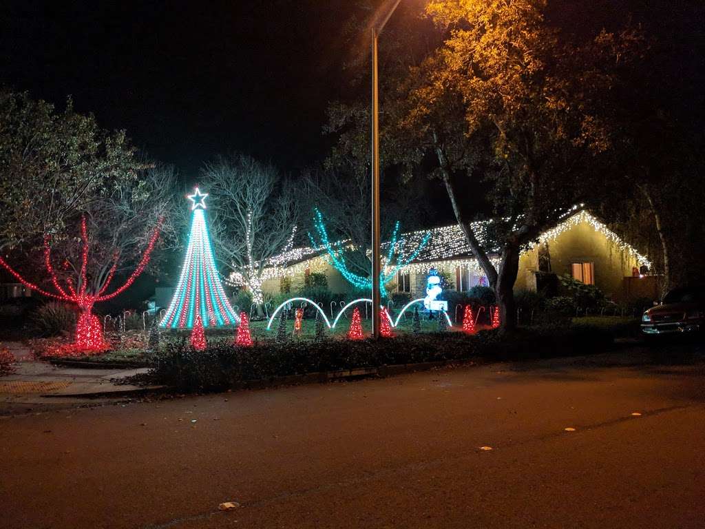 Morgans Magical Christmas Lights | 36811 Gum Ct, Newark, CA 94560, USA