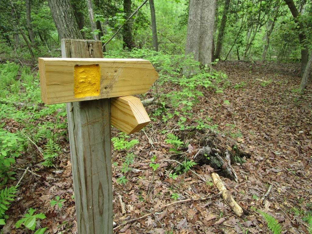 New Jersey Lizard Tail Swamp Preserve | 460 Court House South Dennis Rd, Cape May Court House, NJ 08210