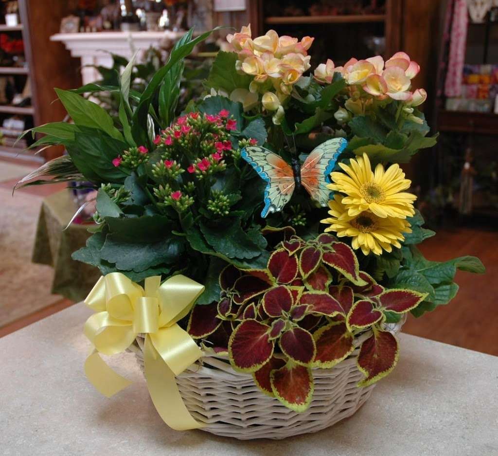 Lake Forest Donnas Custom Flowers | 1161 N Edgewood Rd, Lake Forest, IL 60045 | Phone: (847) 892-6442