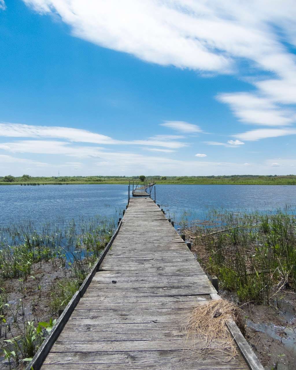 Goose Lake Prairie State Natural Area | 5010 N Jugtown Rd, Morris, IL 60450, USA | Phone: (815) 942-2899