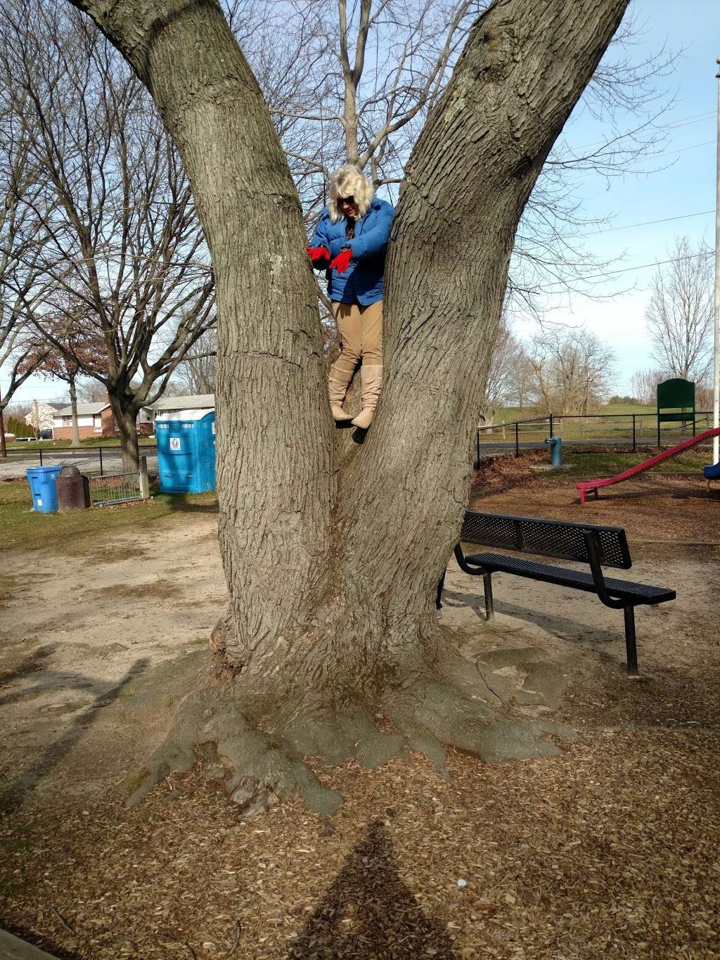 Lions Den Park | New York Ave & New Hampshire Ave, Cherry Hill, NJ 08002, USA