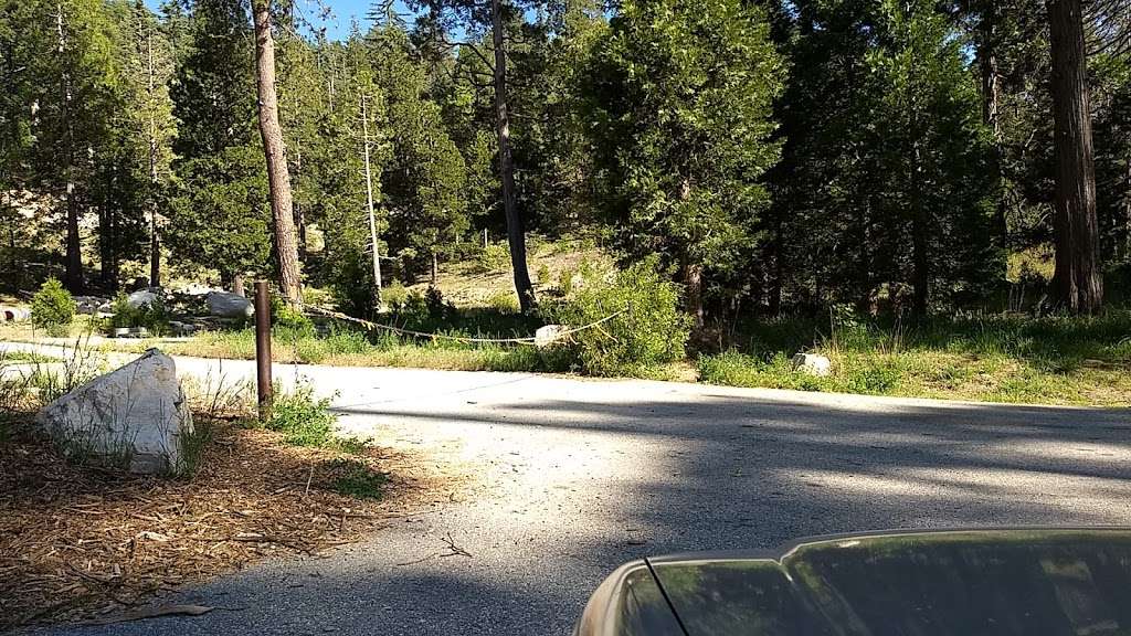 Will Abell Memorial Trail at Arrowhead Ridge | Lake Arrowhead, CA 92352, USA