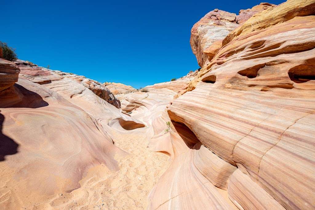 Pastel (Pink) Canyon Trail | Mouses Tank Rd, Overton, NV 89040, USA