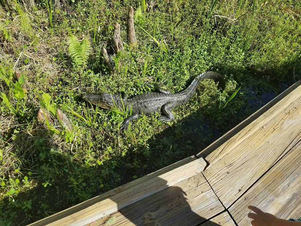 Barataria Preserve Visitor Center | 6588 Barataria Blvd, Marrero, LA 70072, USA | Phone: (504) 589-3882