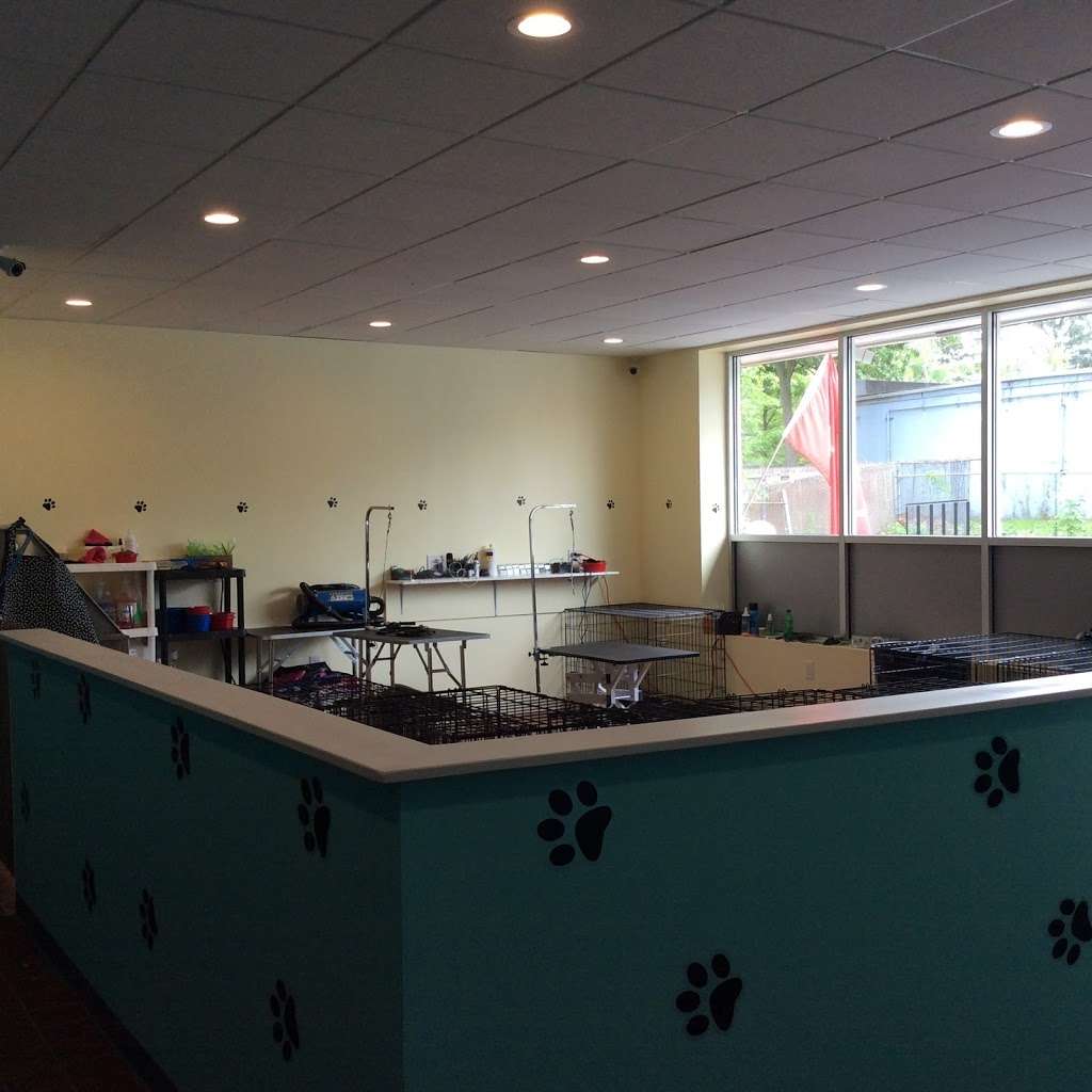 Dukes k9 spa | 1 Ivy Rd, Kings Park, NY 11754, USA | Phone: (631) 656-0588