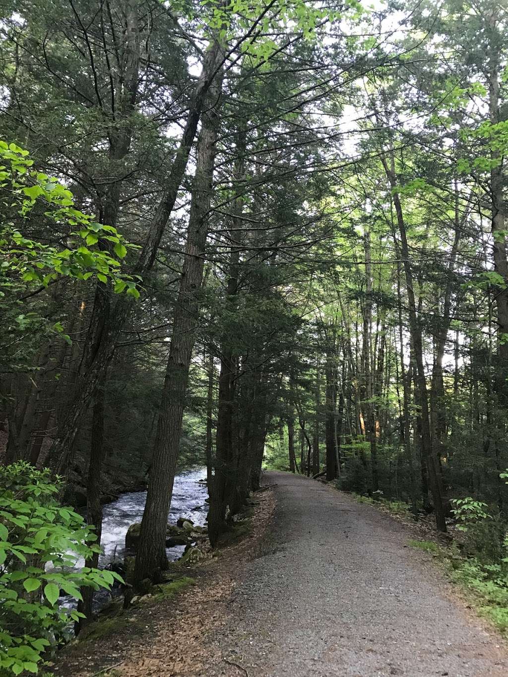 Switchback Railroad Trail | Switchback Railroad Trail, Jim Thorpe, PA 18229, USA