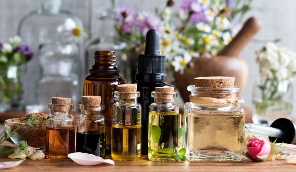 Air-Scent Services | 15811 Collins Ave Suite 806, Sunny Isles Beach, FL 33160, USA | Phone: (305) 747-8804 Air-Scent Services | 15811 Collins Ave Suite 806, Sunny Isles Beach, FL 33160, USA | Phone: (305) 747-8804