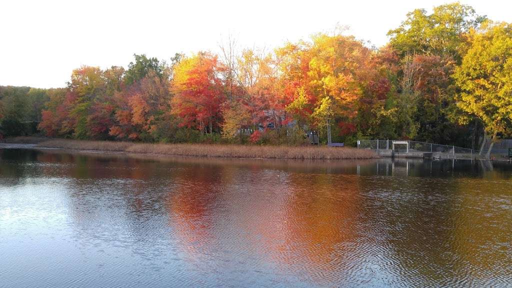 Mill Pond Park | 13 Pine Hill Rd, Ashland, MA 01721, USA