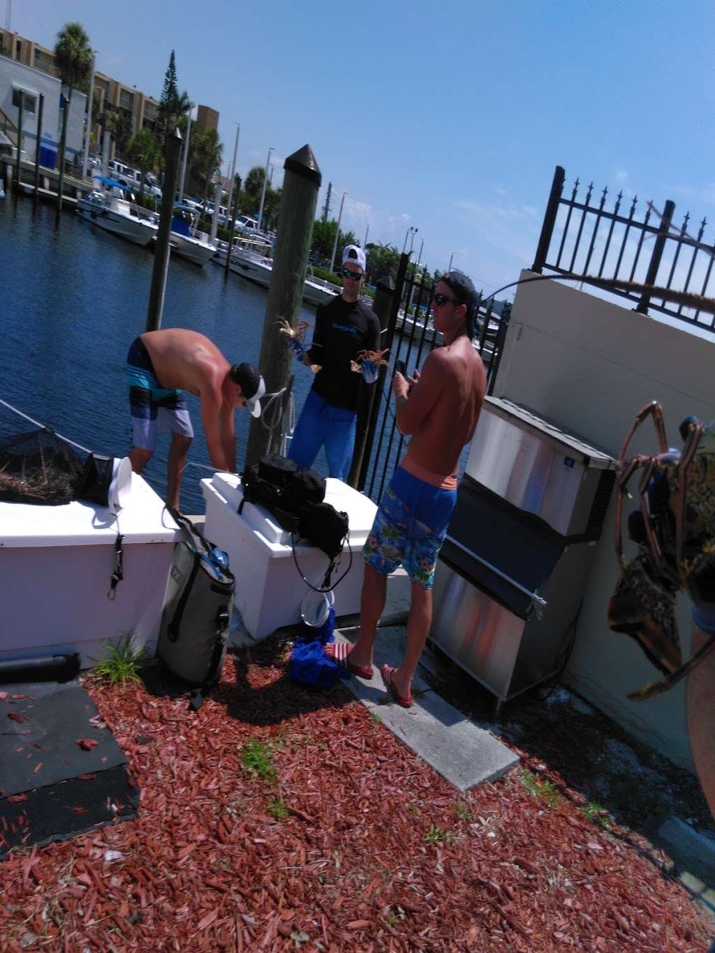 American Dream Dive Charters | 88 Portside Dr, Fort Lauderdale, FL 33316, USA | Phone: (954) 577-0338