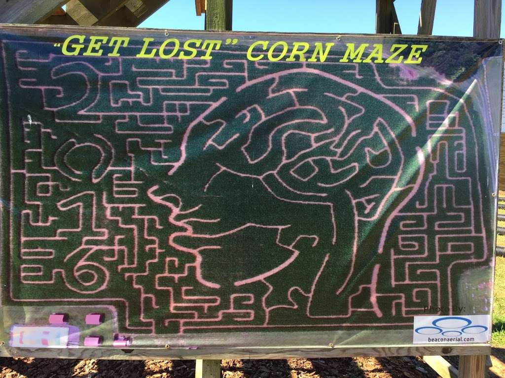 Get Lost Corn Maze. | 20935 NC-73, Albemarle, NC 28001 | Phone: (704) 791-6950