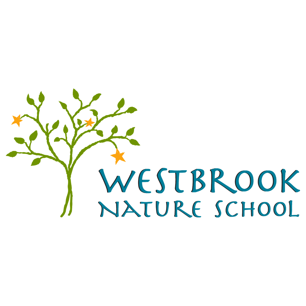 Westbrook Nature School | 7 Long Ridge Rd, Redding, CT 06896, USA | Phone: (203) 664-1554