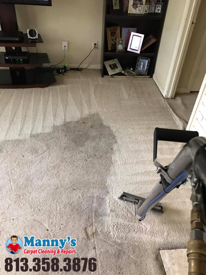 Mannys Carpet Cleaning & Repairs | 11346 Hudson Hills Ln, Riverview, FL 33579, USA | Phone: (813) 358-0345
