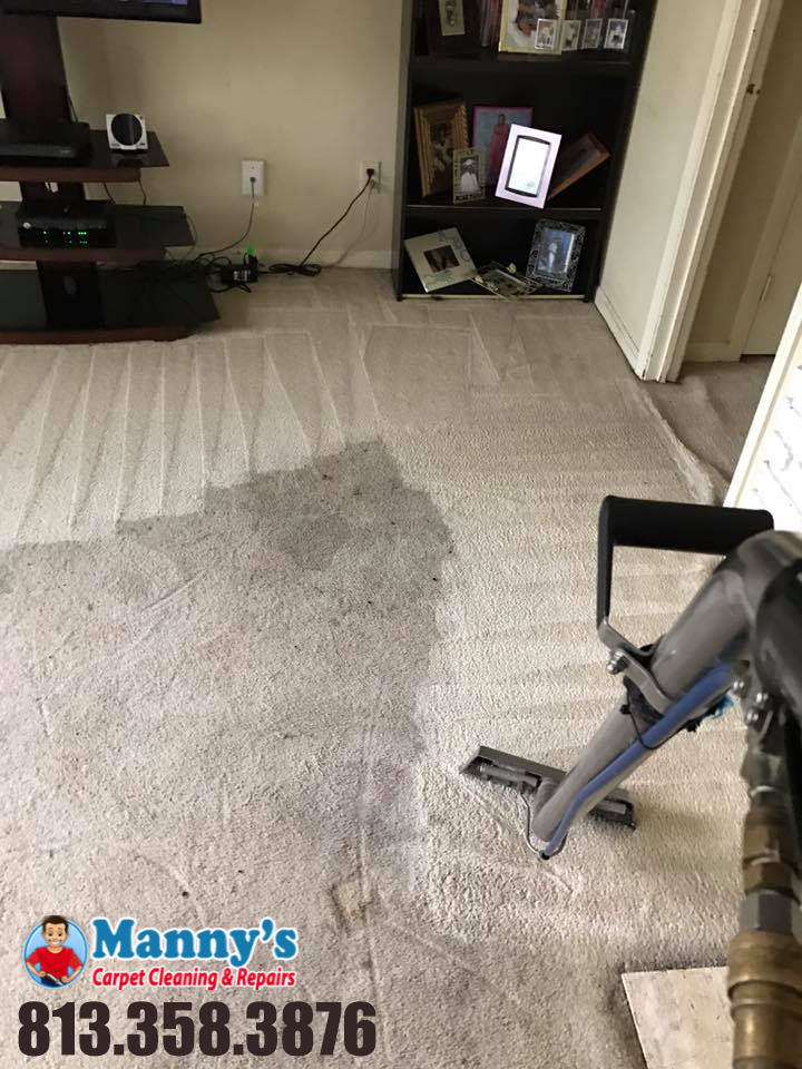 Mannys Carpet Cleaning & Repairs | 11346 Hudson Hills Ln, Riverview, FL 33579 | Phone: (813) 358-0345