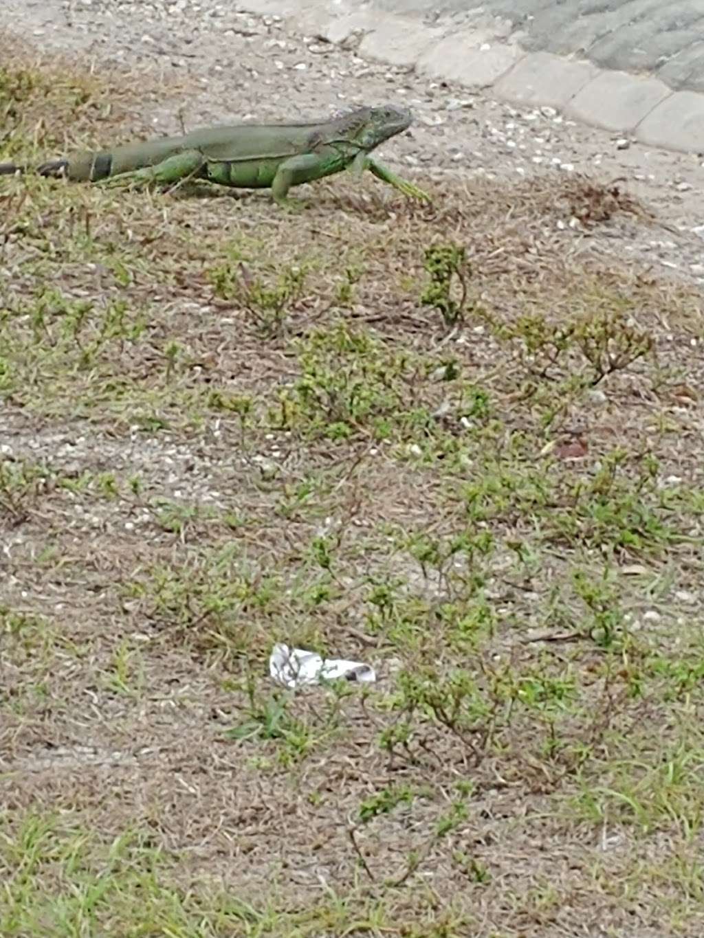 Cypress creek greenway/ Bike Path | Margate, FL 33068, USA