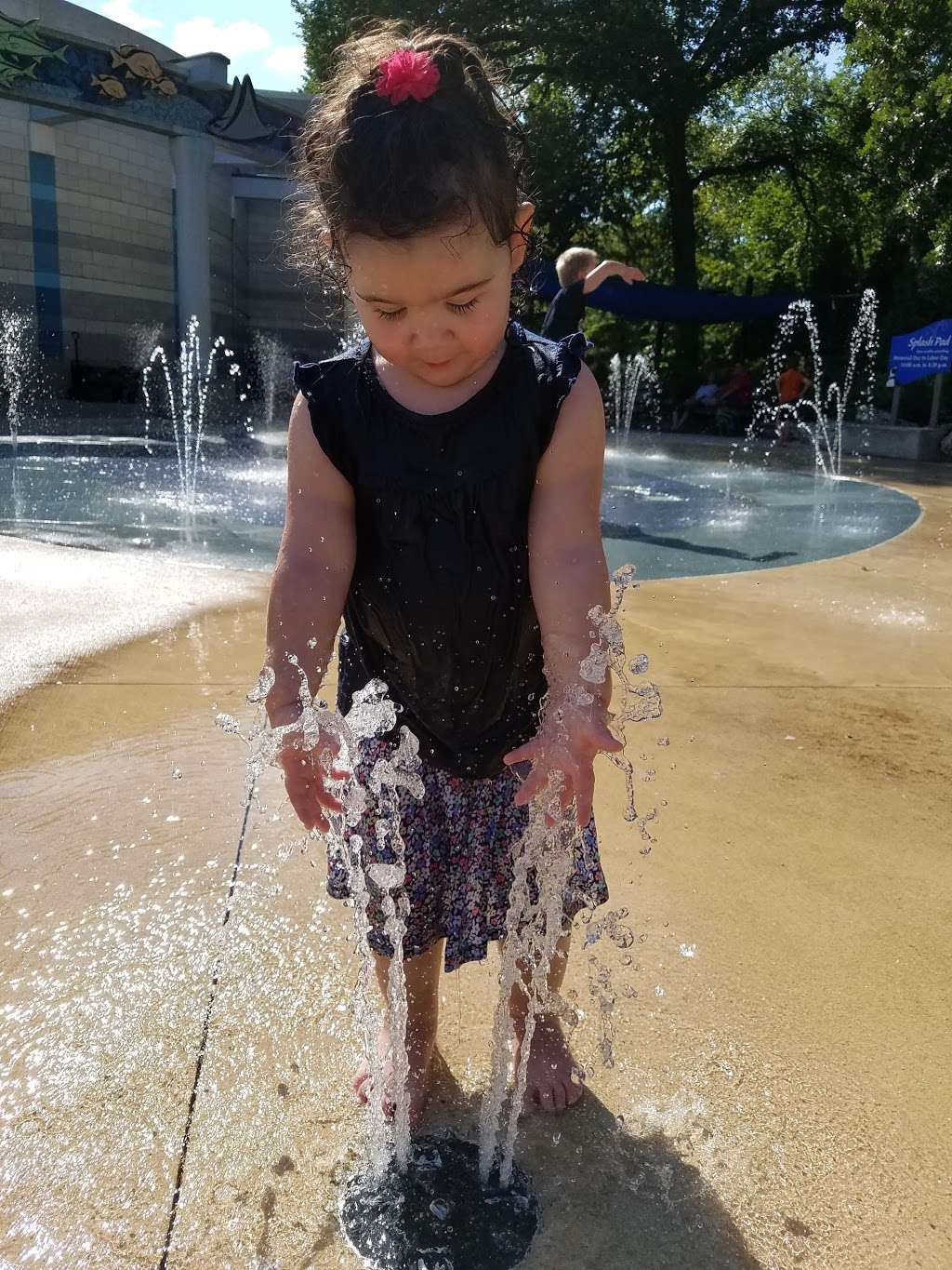 Kids Water Play Area | Brookfield, IL 60513, USA