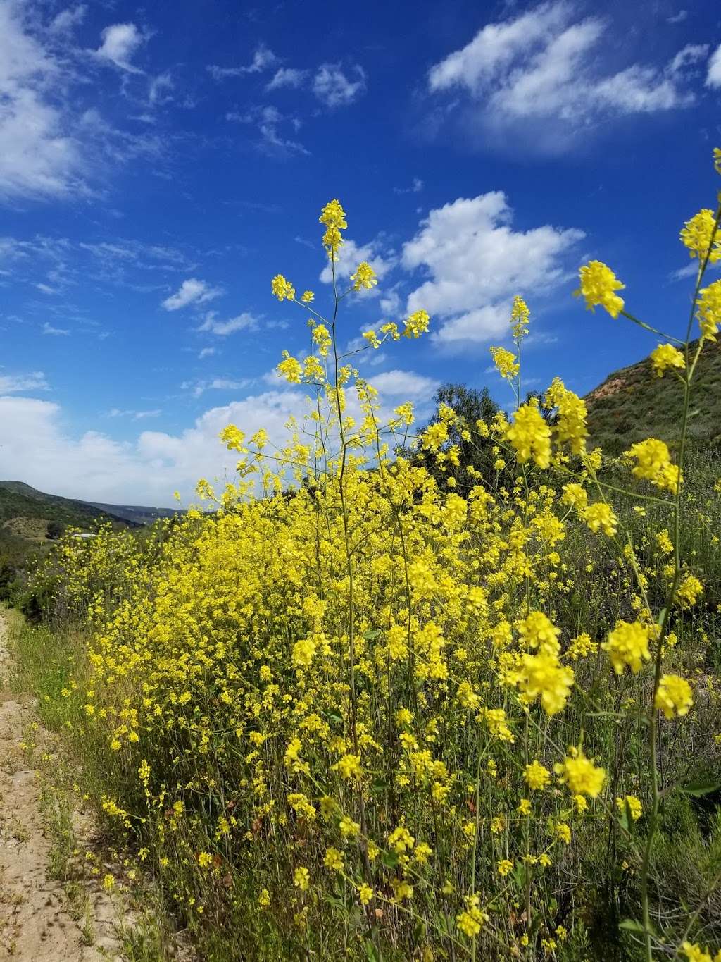 Mesa Trailhead | Santee, CA 92071