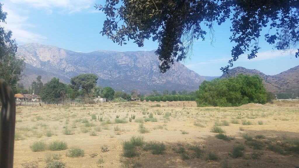 Hazy Meadow Ranch & Carriage | 15466 El Monte Rd, Lakeside, CA 92040, USA | Phone: (619) 561-7050