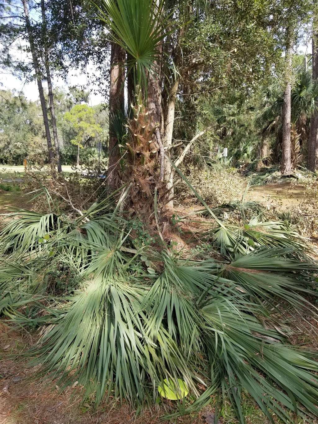 River City Nature Park | 200 Barwick Rd, DeBary, FL 32713, USA