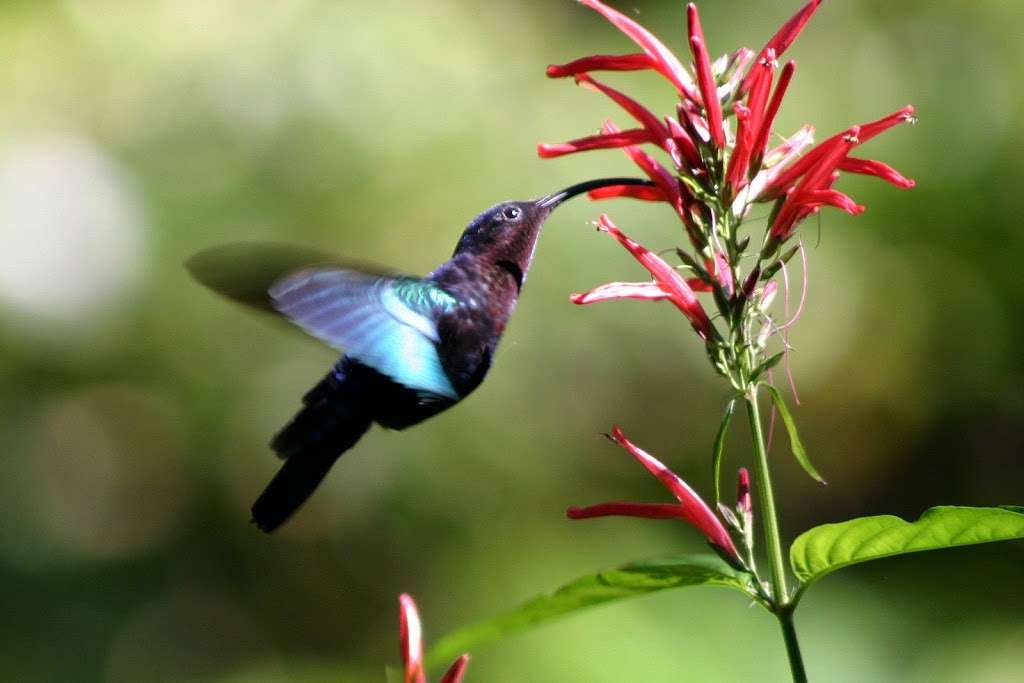 Texas Parks & Wildlife Department | 346 Oaks Trail #100, Garland, TX 75043, USA | Phone: (972) 226-9966