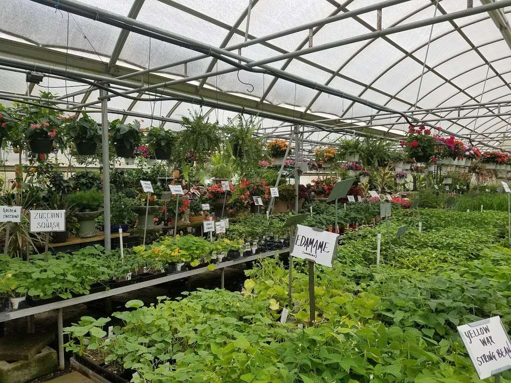 seagrove garden center | 2661 N Route 9, Ocean View, NJ 08230 | Phone: (609) 624-3540