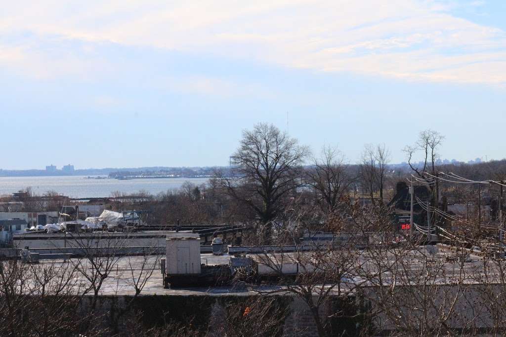 Titus Mill Pond State Tidal Wetlands | New Rochelle, NY 10805