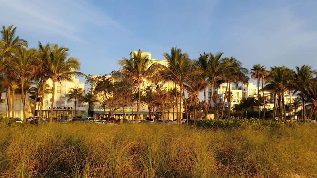 Ocean Surf Hotel | 7436 Ocean Terrace, Miami Beach, FL 33141, USA | Phone: (305) 397-8292