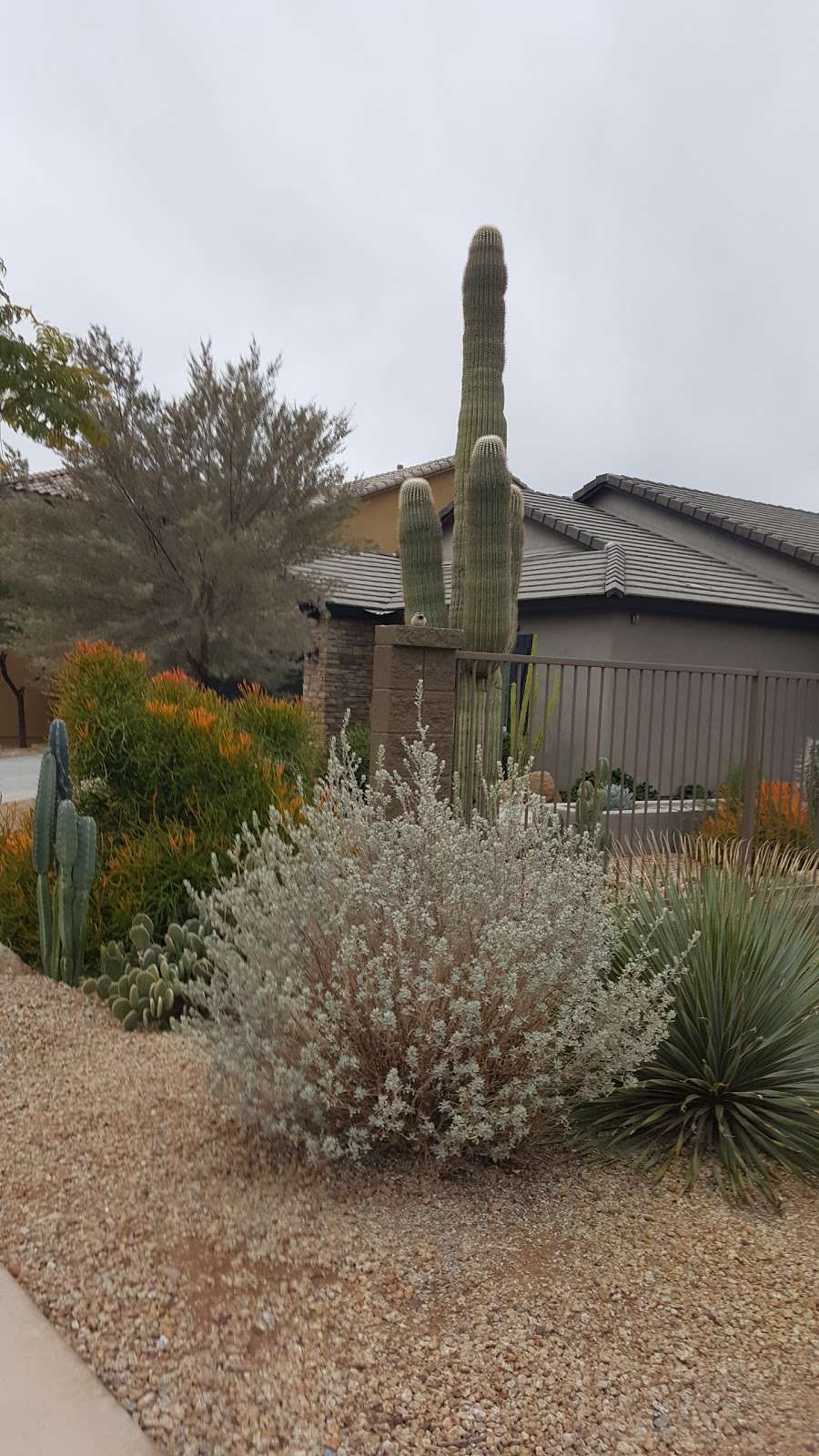 Fireside Community Basketball Court & Park | e 85050, 3738 E Ringtail Way, Phoenix, AZ 85050, USA Fireside Community Basketball Court & Park | e 85050, 3738 E Ringtail Way, Phoenix, AZ 85050, USA