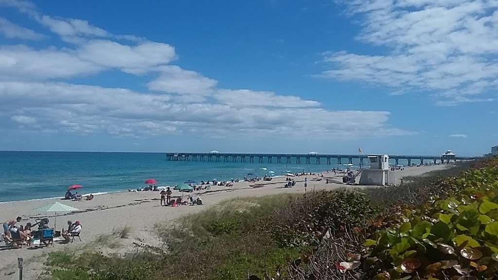 Ocean Cay Park | 2188 Marcinski Rd, Jupiter, FL 33477, USA | Phone: (561) 966-6600