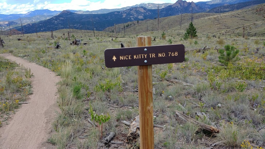 Nice Kitty Trail | Pine, CO 80470, USA