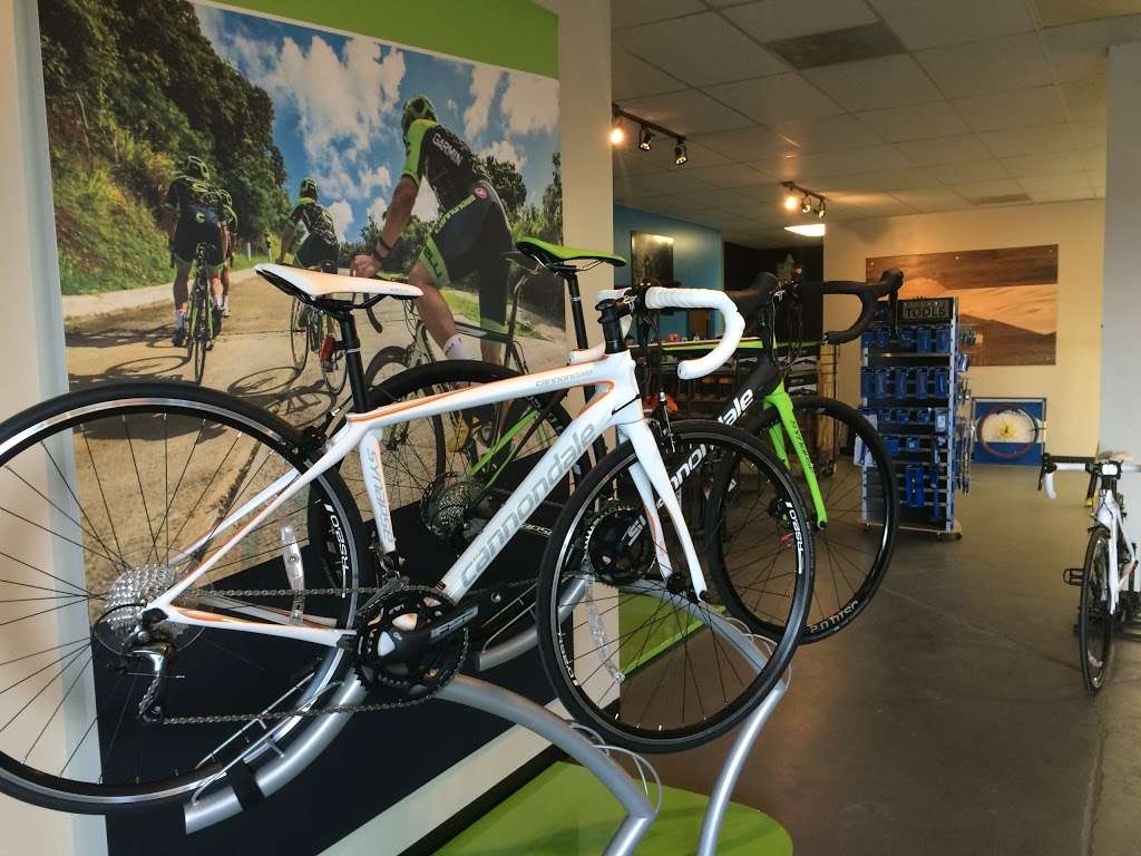 Colorado Cycle Dynamics | 5545 Olde Wadsworth Blvd, Arvada, CO 80002 | Phone: (303) 456-7189