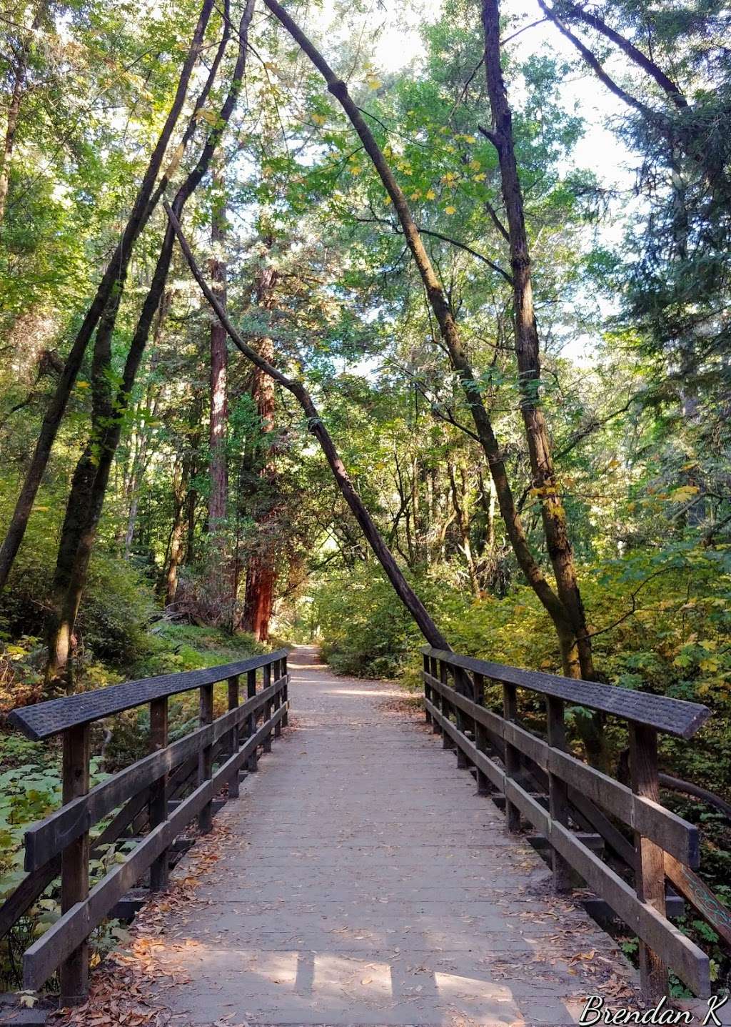 Fall Creek Unit, Henry Cowell Redwoods State Park | 1561 Felton Empire Rd, Felton, CA 95018, USA | Phone: (831) 335-4598