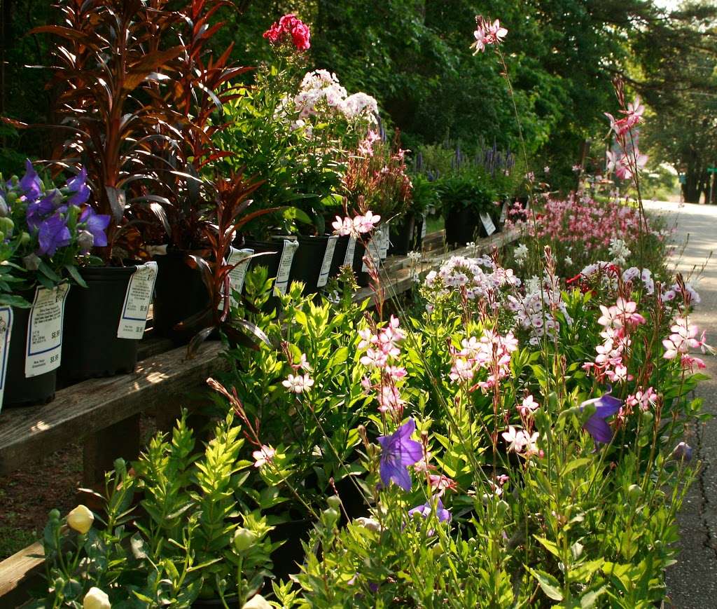 New Hope Greenhouses and Garden Center | 2703 Beaty Rd, Gastonia, NC 28056, USA | Phone: (704) 824-1799
