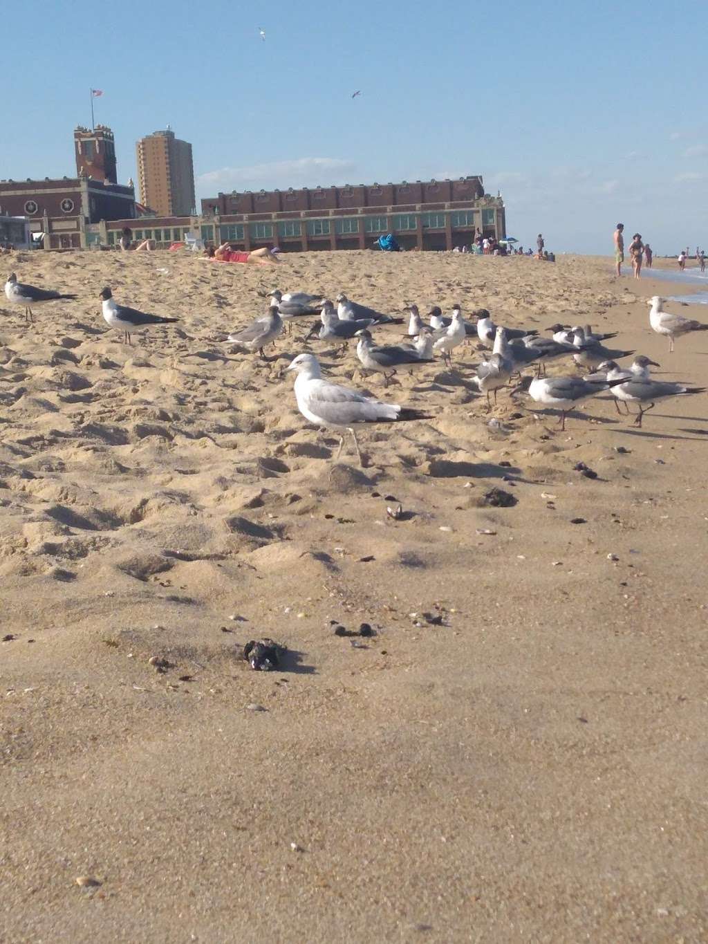 Asbury Splash Park | 915 Ocean Ave, Asbury Park, NJ 07712, USA | Phone: (732) 897-6538