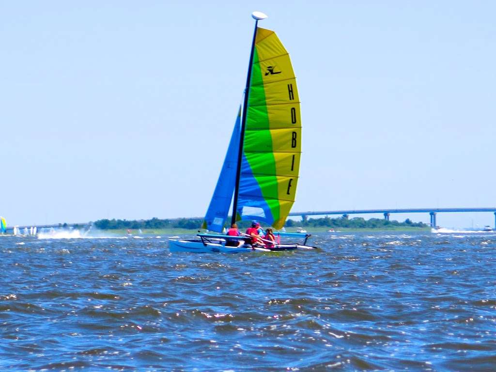 Baycats - Ocean City, NJ - Kayaks, Paddle Boards & Catamarans | 316 Bay Ave, Ocean City, NJ 08226 | Phone: (609) 391-7960