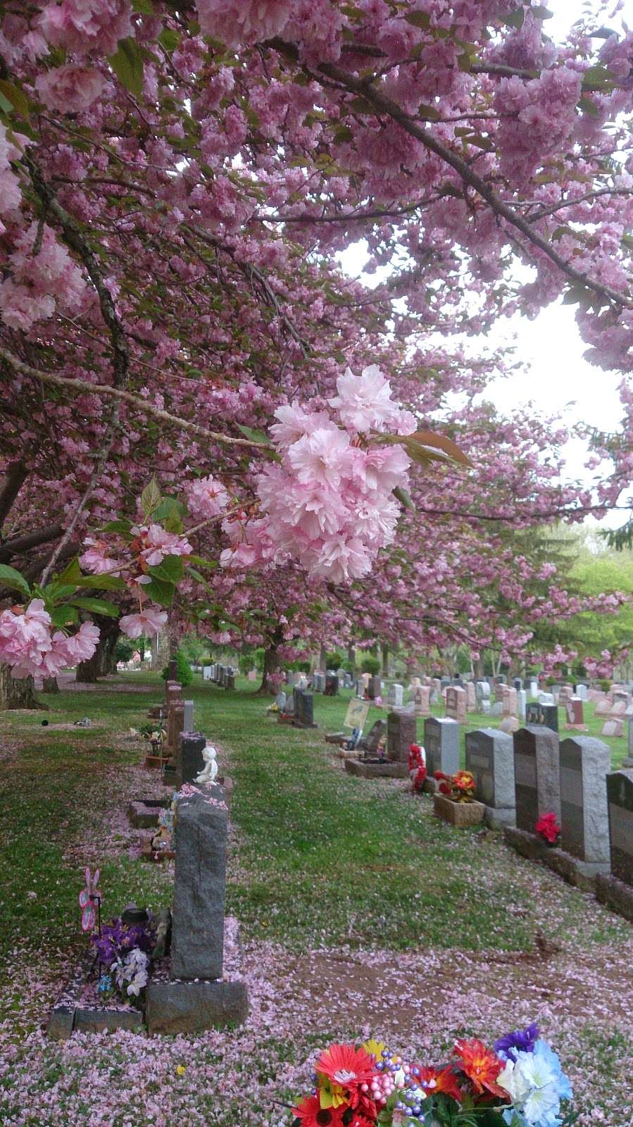 Ewing Cemetery | 78 Scotch Rd, Ewing Township, NJ 08628, USA | Phone: (609) 882-0279
