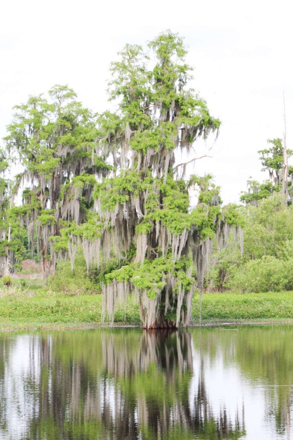 Polks Nature Discovery Center | 4399 Winter Lake Rd, Lakeland, FL 33803, USA | Phone: (863) 668-4673